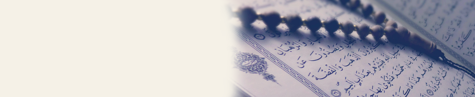 Quran & Arabic Learning Program